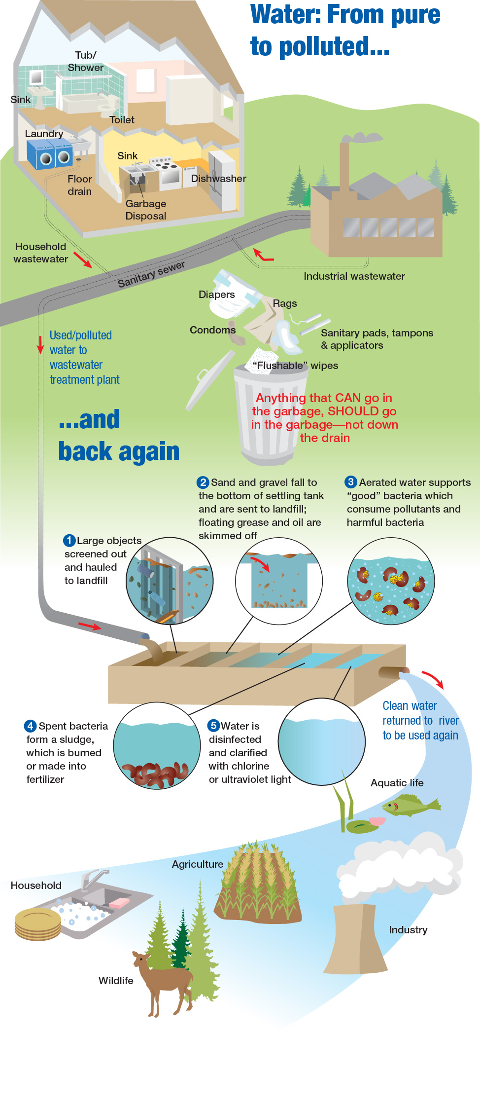 Wastewater Infographic